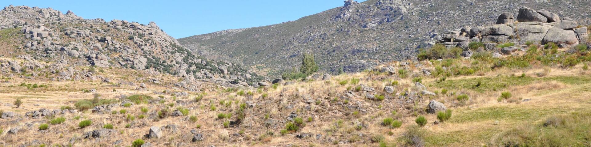 A rocky hillside with sparse vegetation and a clear blue sky.