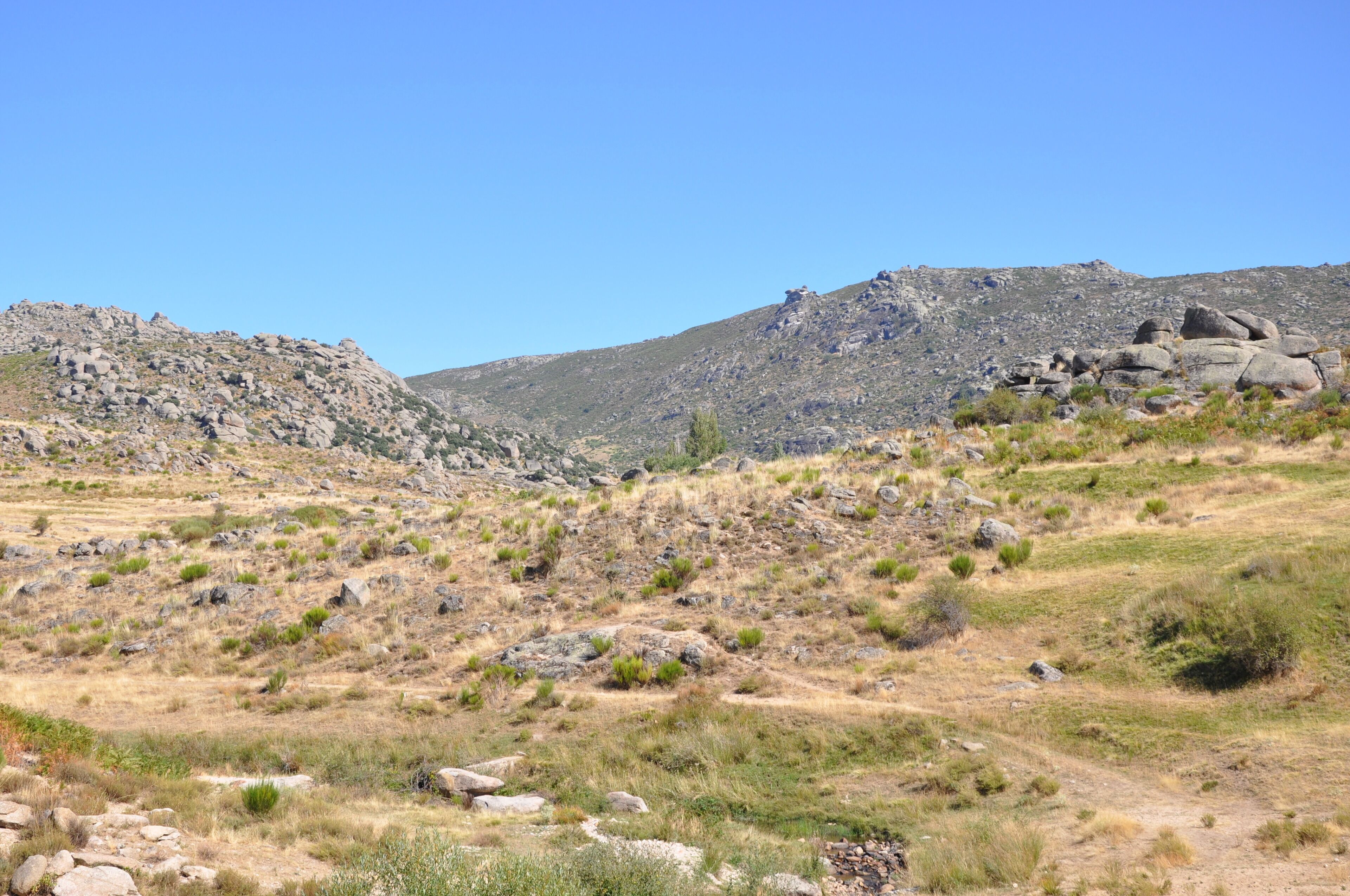 A rocky hillside with sparse vegetation and a clear blue sky.