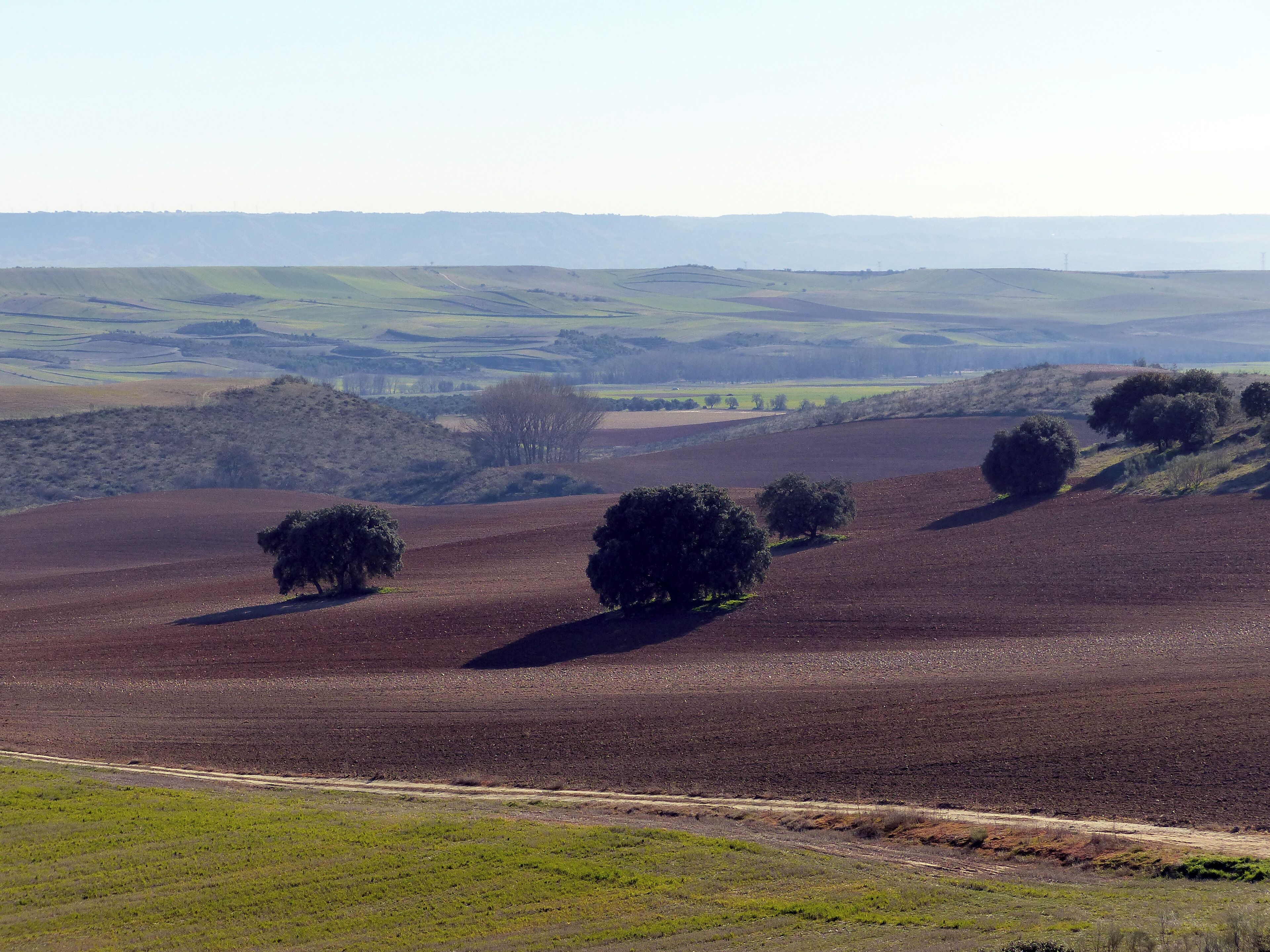 This is a photography of a Site of Community Importance in Spain with the ID: