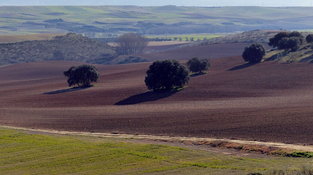 This is a photography of a Site of Community Importance in Spain with the ID: