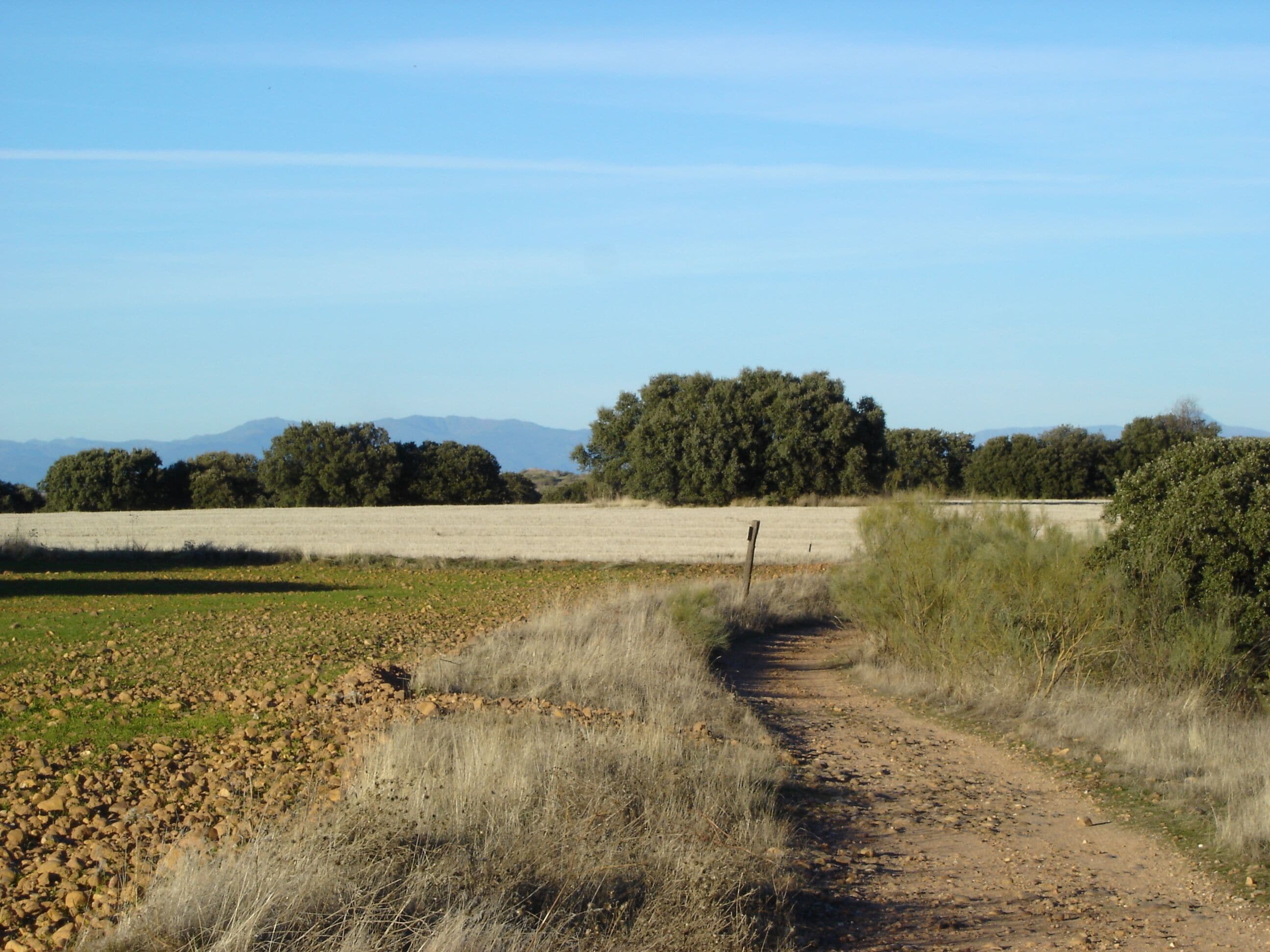 This is a photography of a Site of Community Importance in Spain with the ID: