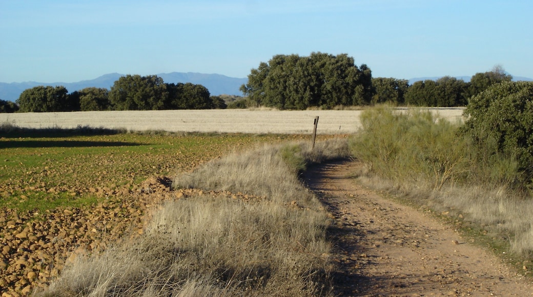 This is a photography of a Site of Community Importance in Spain with the ID: