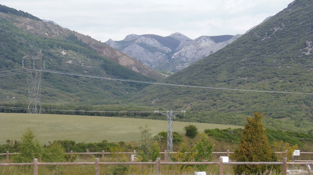 Dehesa de Montejo, Palencia, Spain