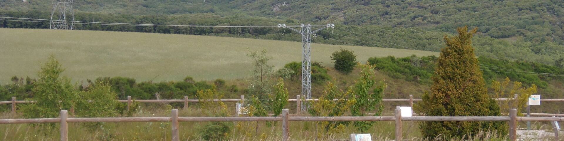 Dehesa de Montejo, Palencia, Spain