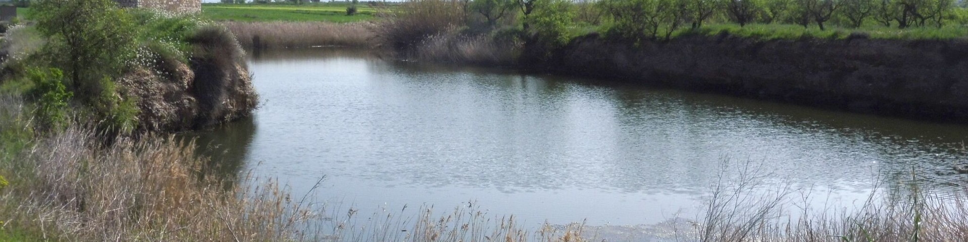 Molí del Falguera (Belianes) This is a photo of a building indexed in the Catalan heritage register as Bé Cultural d'Interès Local (BCIL) under the reference IPA-29716.