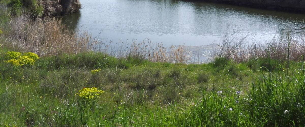 A calm river with a small stone structure on the left bank, surrounded by lush greenery and wildflowers.