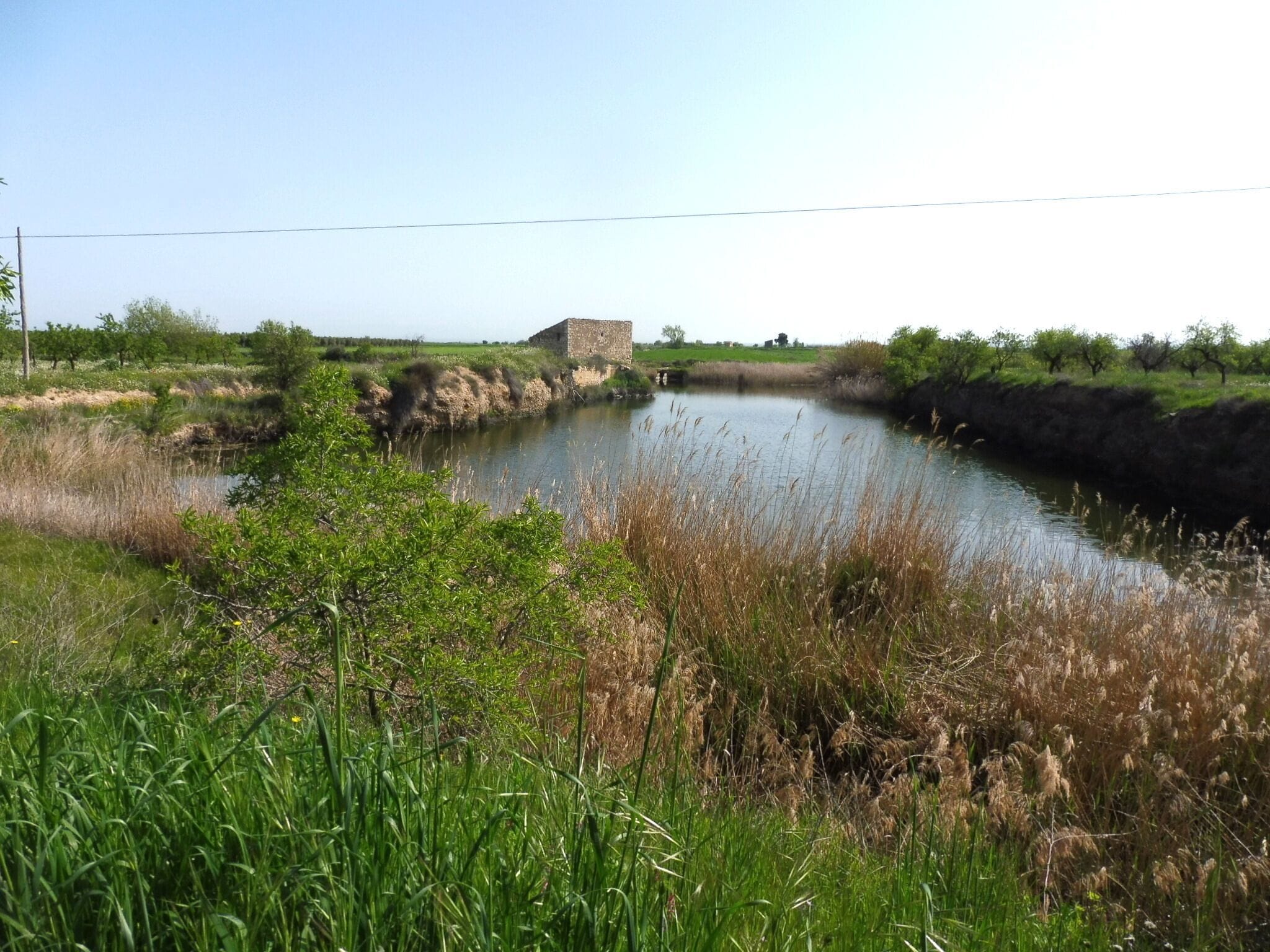 Molí del Falguera (Belianes) This is a photo of a building indexed in the Catalan heritage register as Bé Cultural d'Interès Local (BCIL) under the reference IPA-29716.