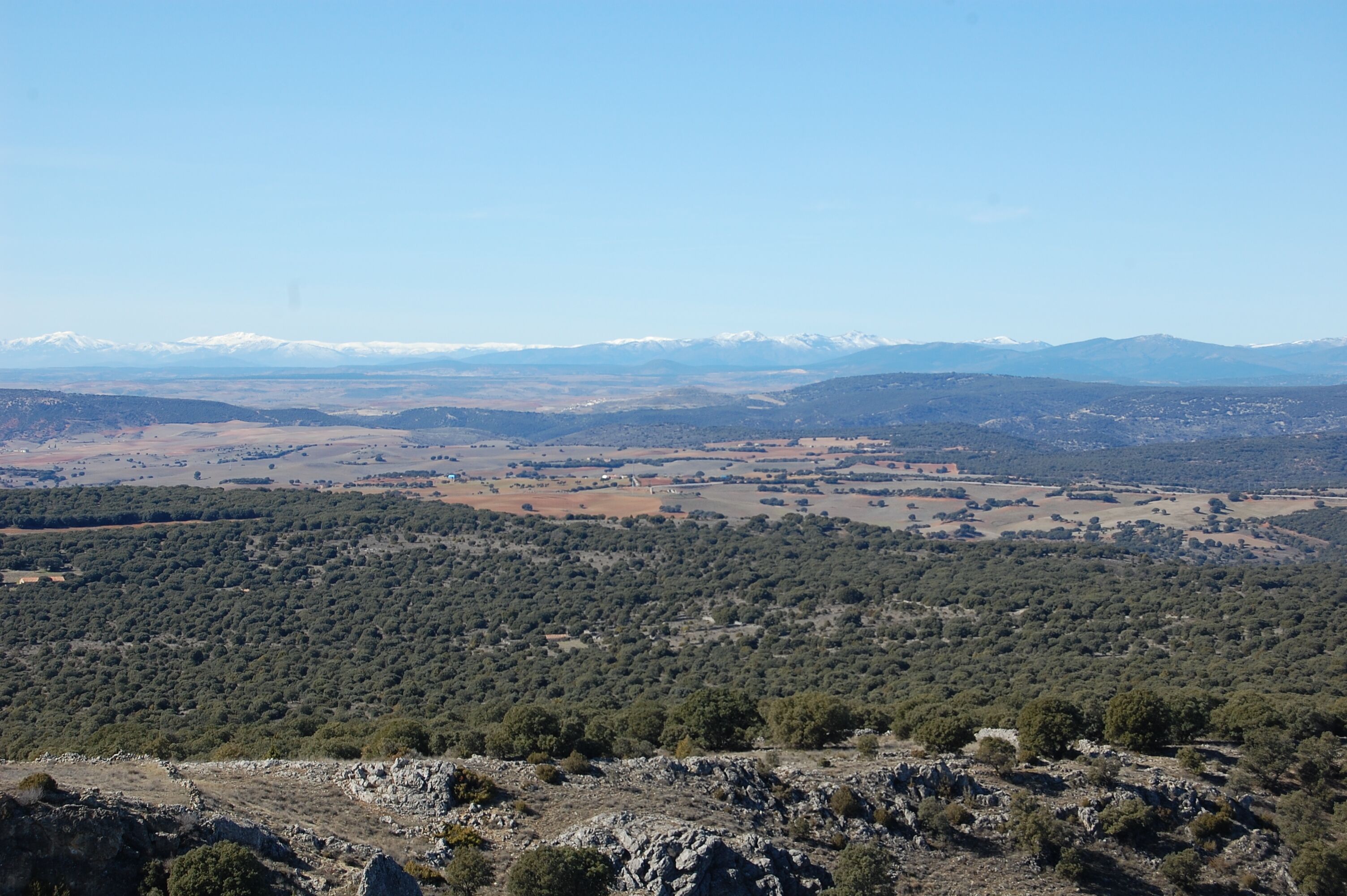 A mountainous landscape with dense forests, open fields, and distant snow-capped peaks.
