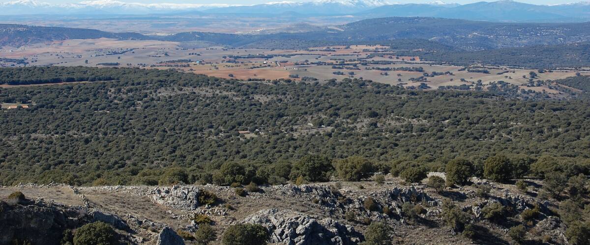 A mountainous landscape with dense forests, open fields, and distant snow-capped peaks.