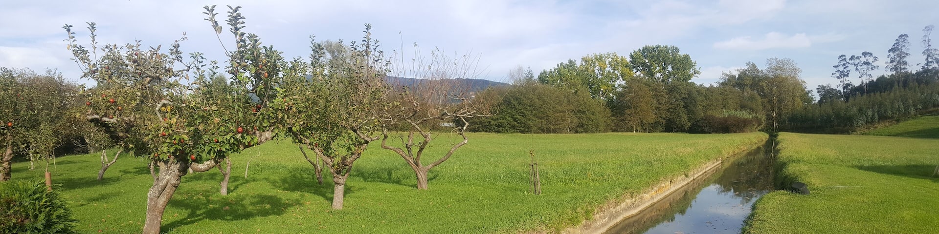 Butroe ibaia Gamizko Errotabarri errotako kanala