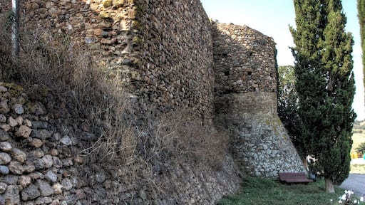 This is a photo of a monument indexed in the Catalan heritage register of Béns Culturals d'Interès Nacional and the Spanish heritage register of Bienes de Interés Cultural under the reference RI-51-0006018.