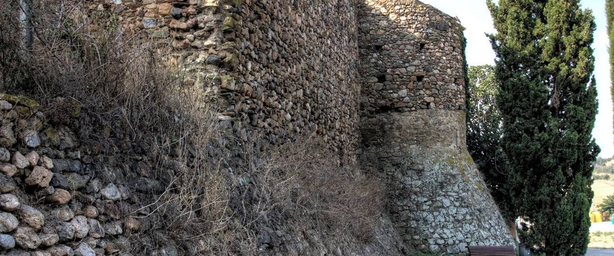A stone wall with a wooden door, a grassy area, and a tall tree.
