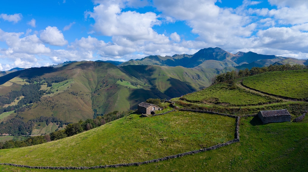 San Pedro del Romeral