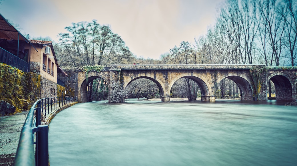 River with large water flow over a bridge in winter. The lake. Jaraíz de la Vera. Spain.