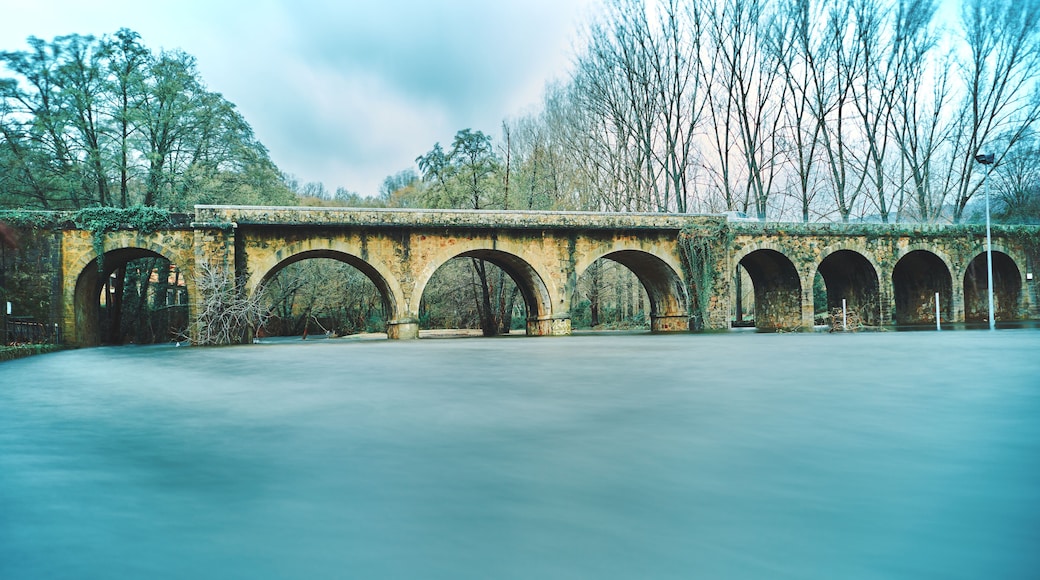 River with large water flow over a bridge in winter. The lake. Jaraíz de la Vera. Spain.