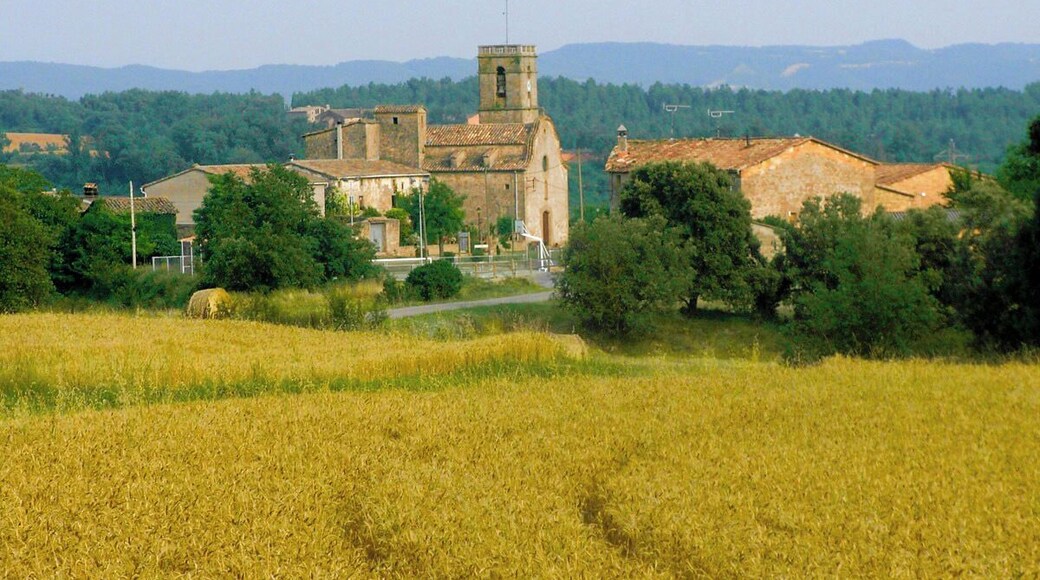 Sant Martí d'Albars