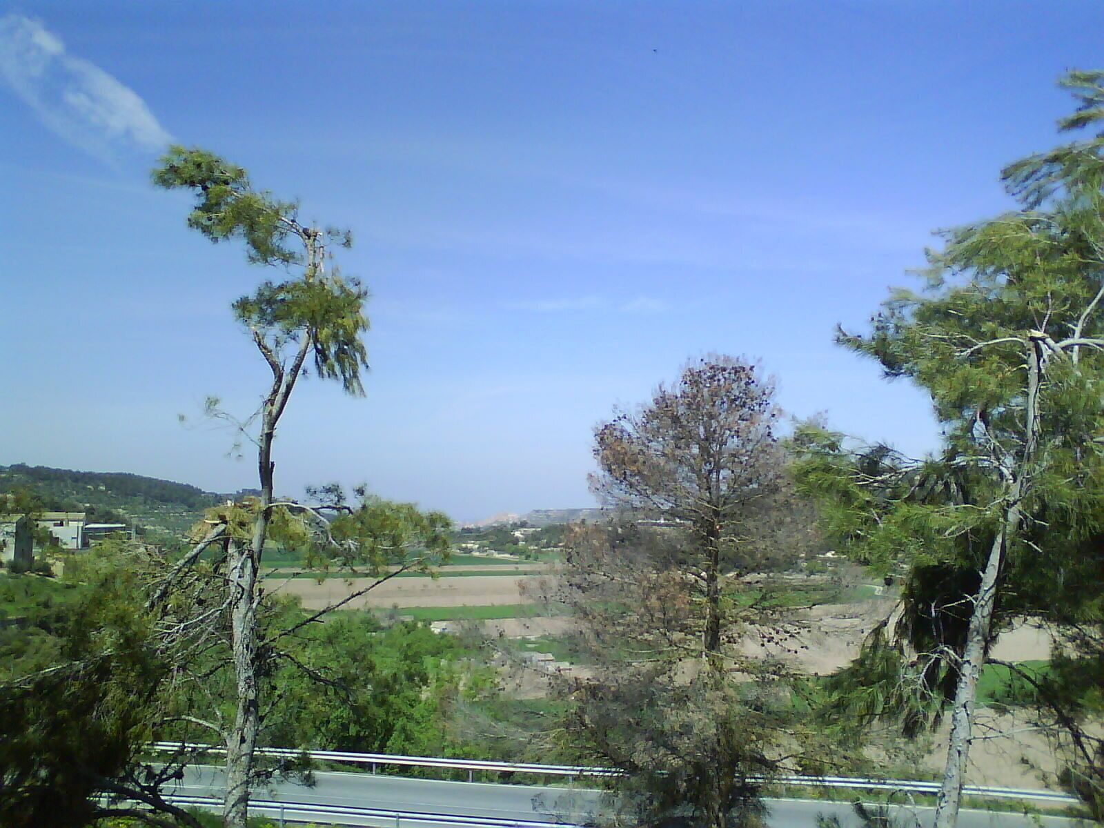 A landscape with trees, a road, and distant hills.