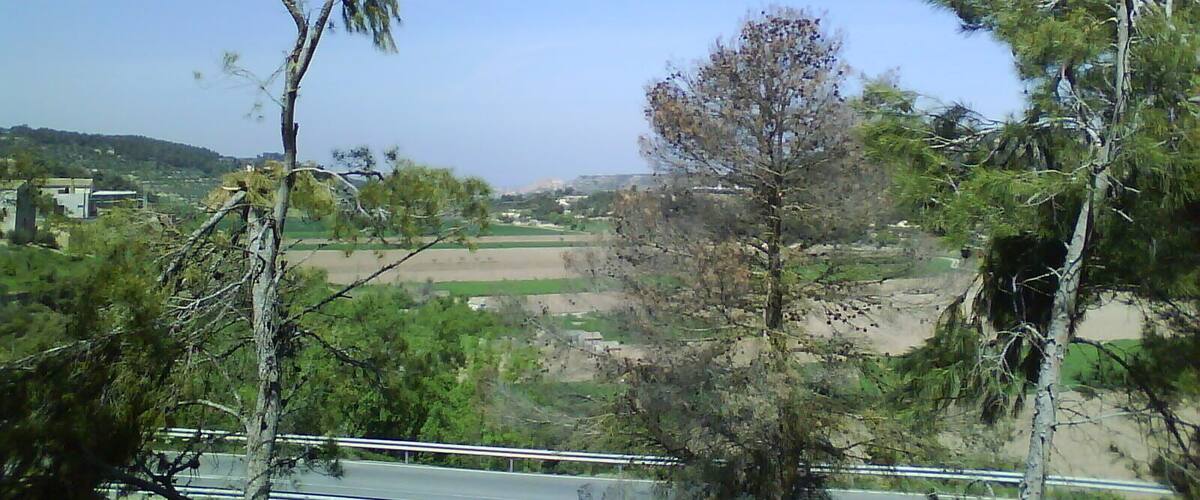 A landscape with trees, a road, and distant hills.