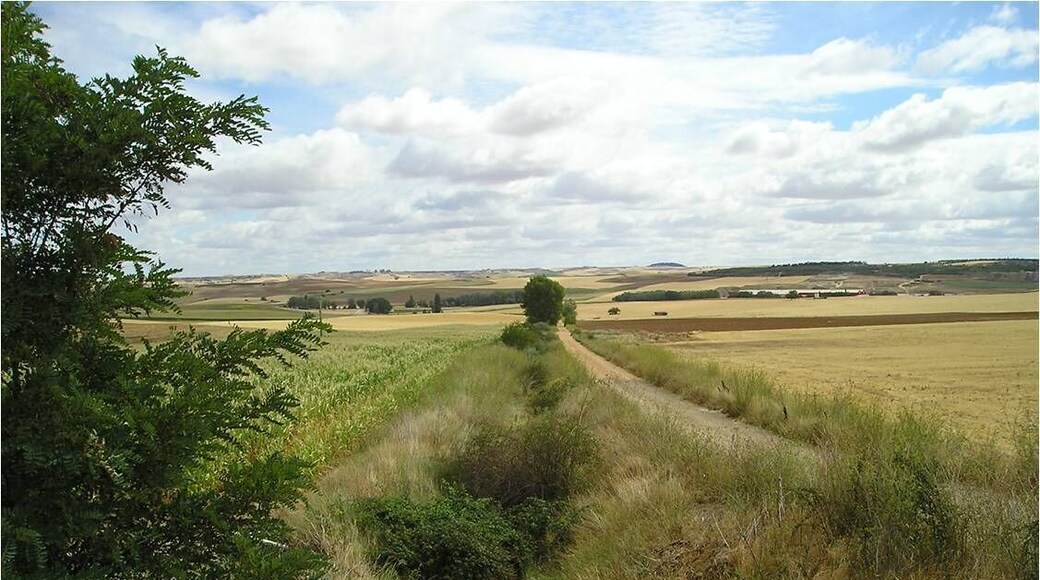 Camino de los ángeles.