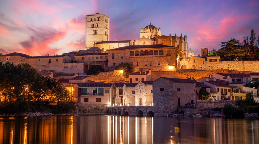 Un paisaje urbano histórico con una torre y una catedral destacadas que se reflejan en el agua.