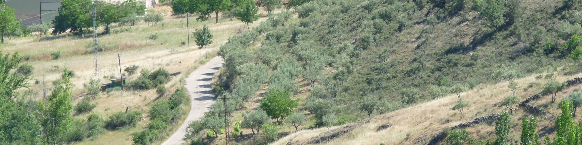 A rural landscape with a winding road, scattered houses, and dense vegetation on a hillside.