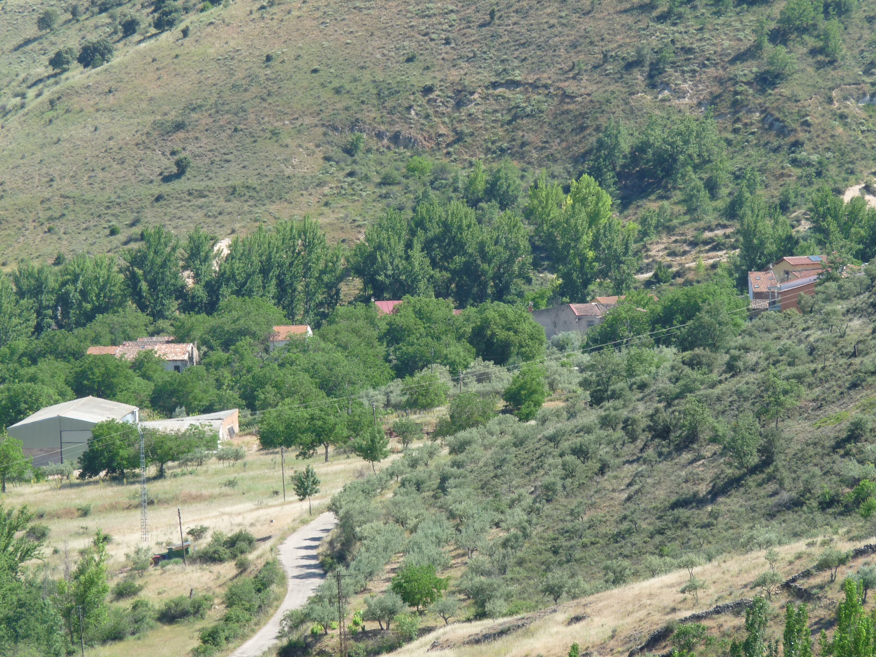 A rural landscape with a winding road, scattered houses, and dense vegetation on a hillside.