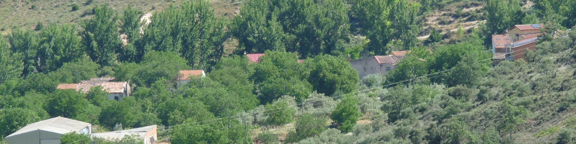 A rural landscape with a winding road, scattered houses, and dense vegetation on a hillside.