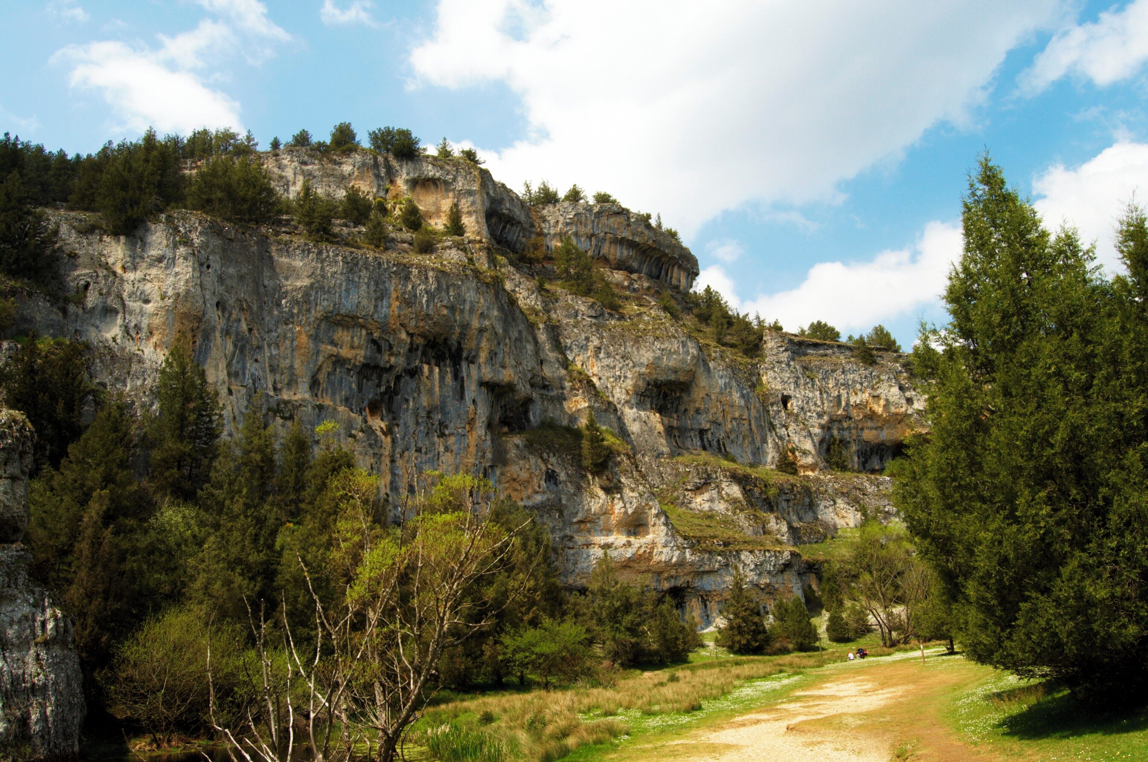 A rocky cliff with sparse vegetation and a clear sky.