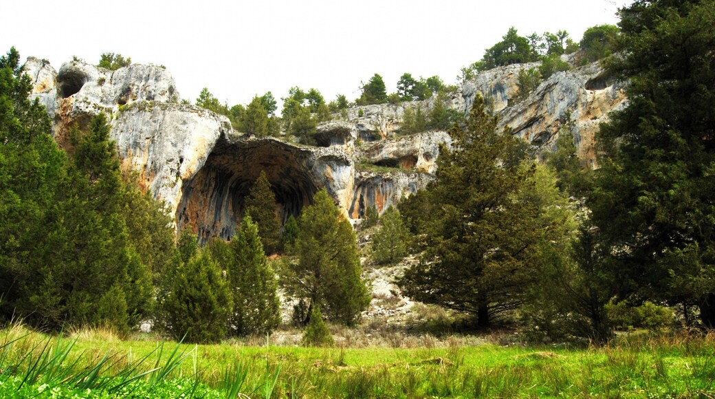 Cueva