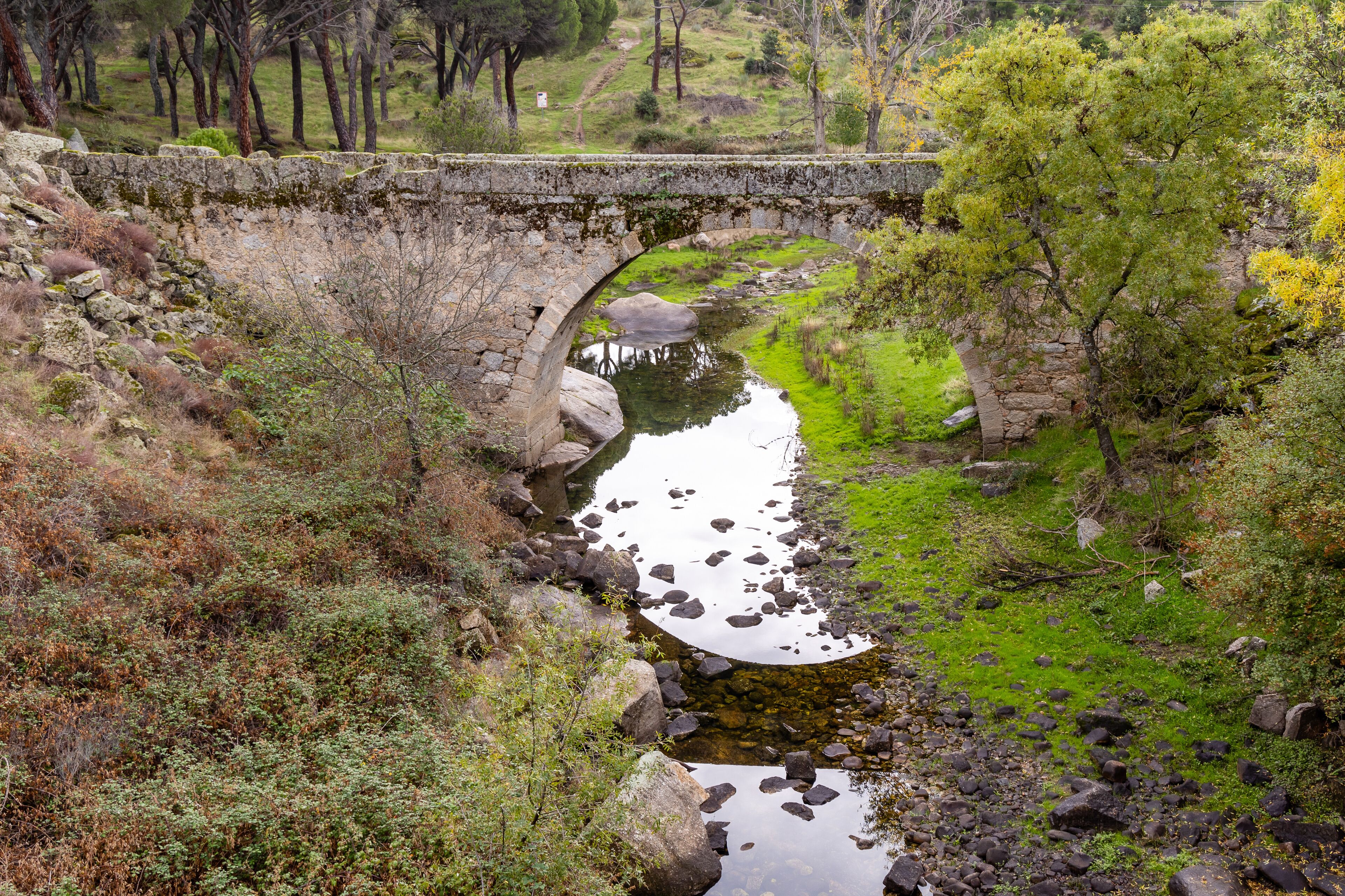 엘오요 데 피나레스