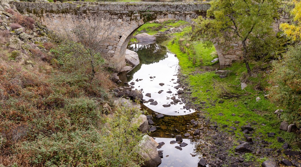 ์์ค์ ๋ฐ ํผ๋๋ ์ค