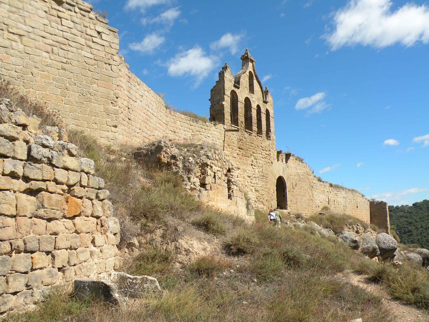 Sanaüja: El castell.