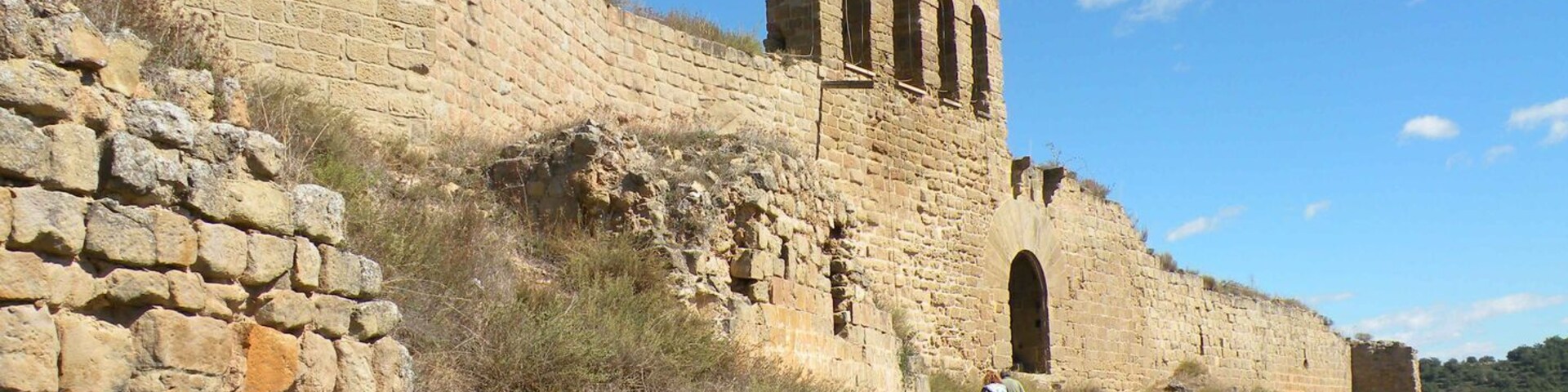 Sanaüja: El castell.