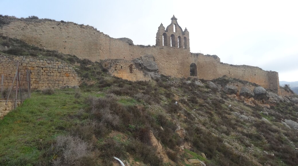 Castell de Sanaüja (març 2013)
