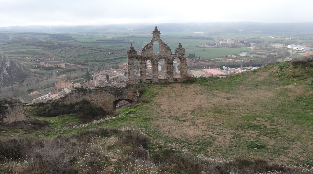 Castell de Sanaüja (març 2013)