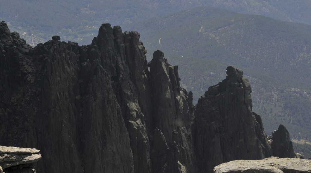 AGUJAS DESDE LA MIRA