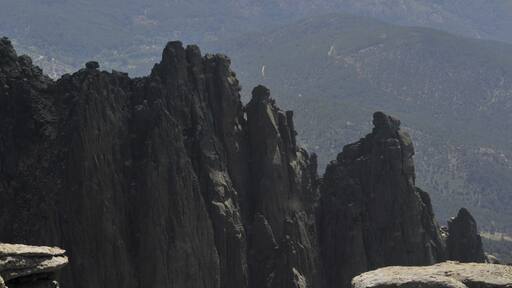 AGUJAS DESDE LA MIRA