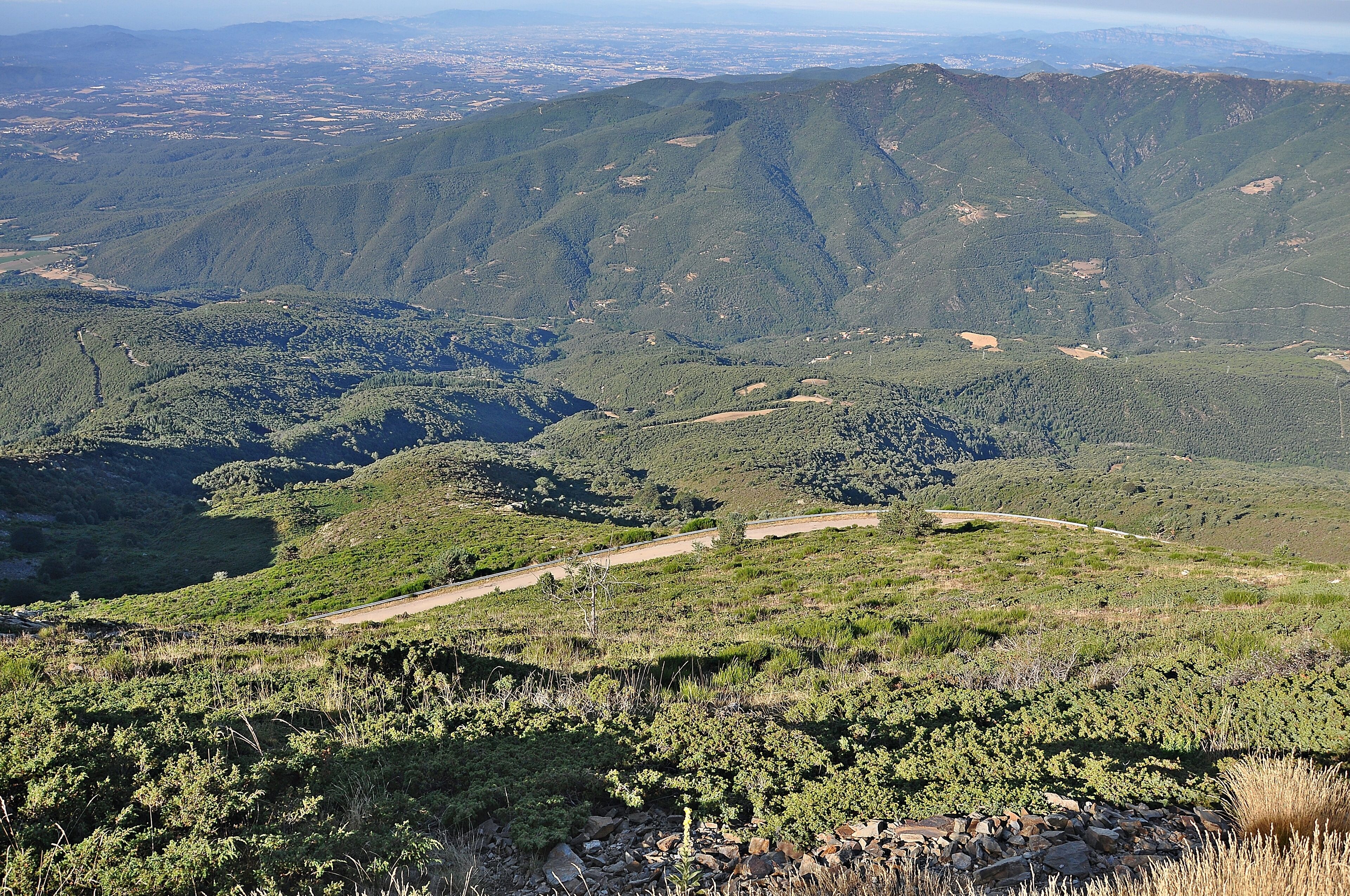 A mountainous landscape with dense forests, a winding dirt road, and a valley below.
