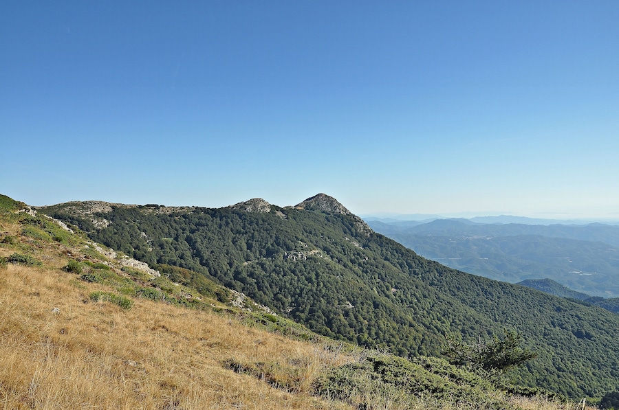 A mountainous landscape with dense forests and rocky outcrops.