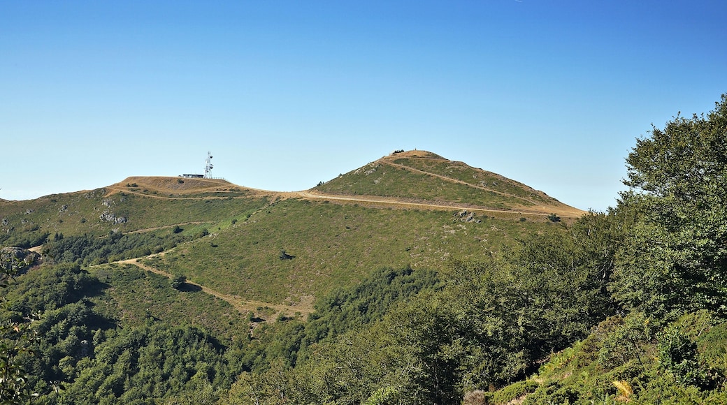 Valles Oriental-2016