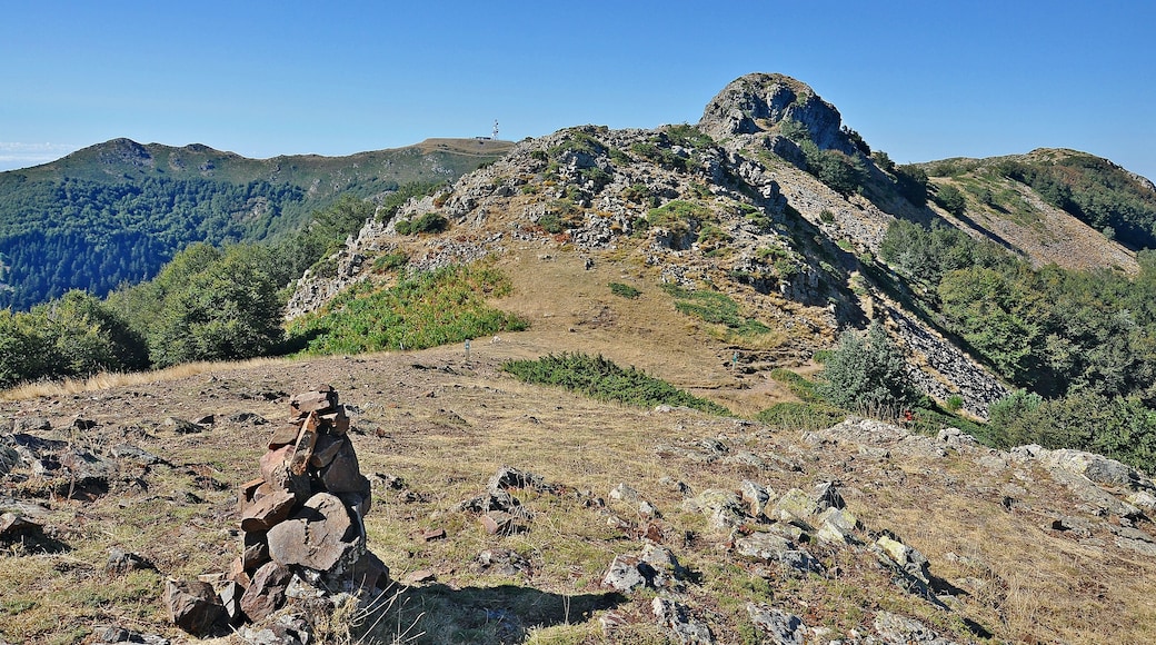 Valles Oriental-2016