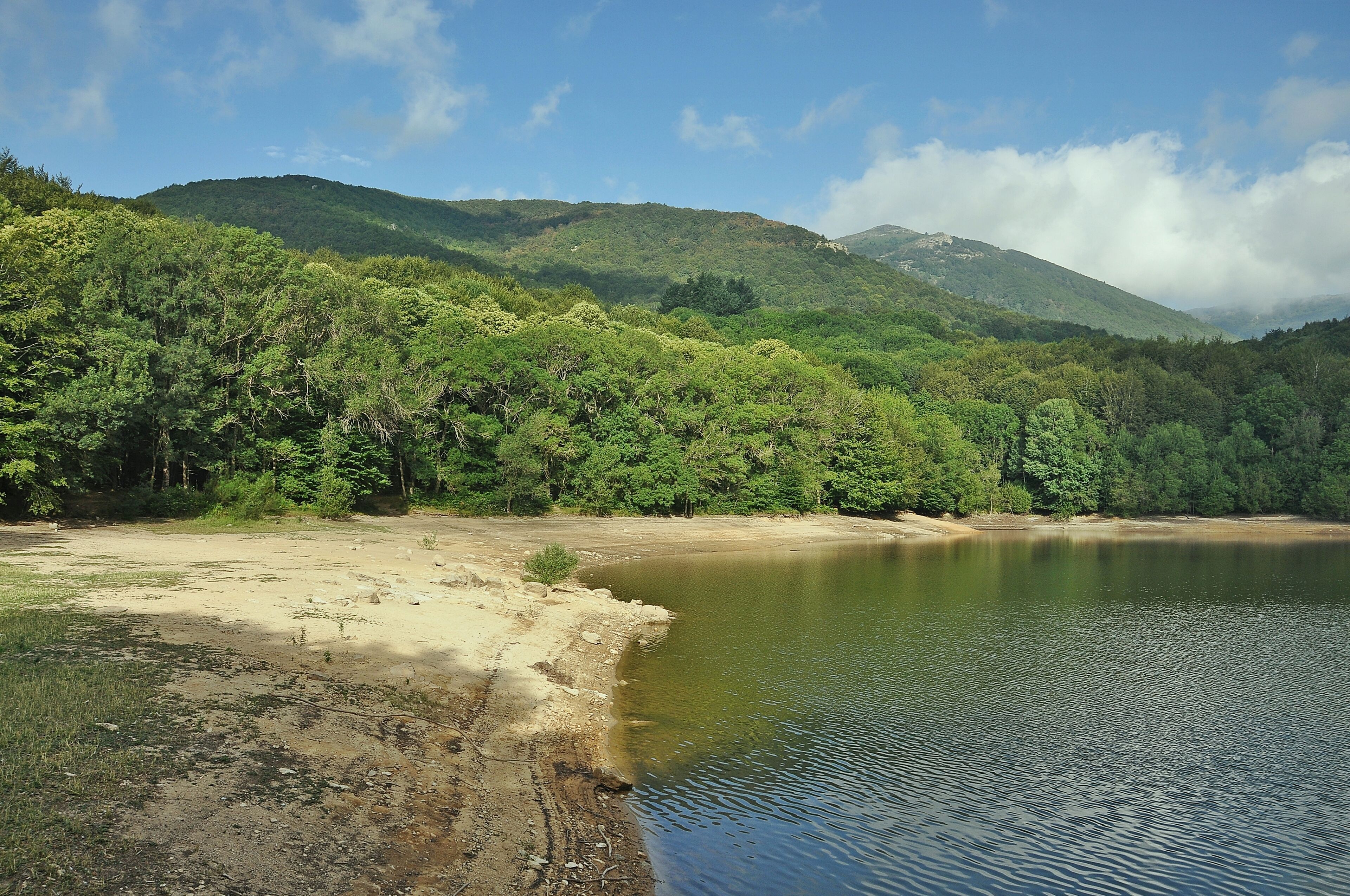 Valles Oriental-2016