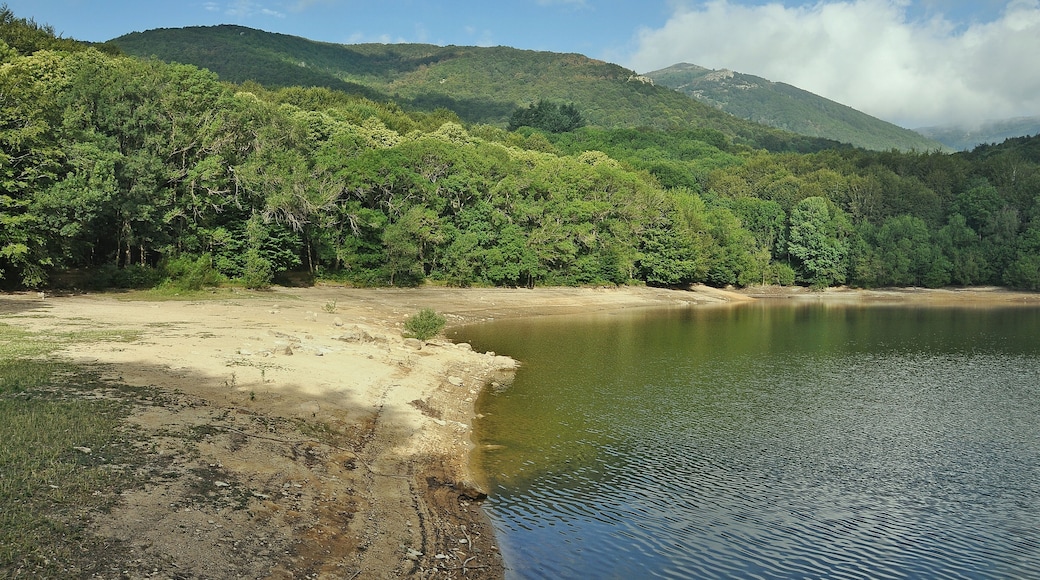 Valles Oriental-2016