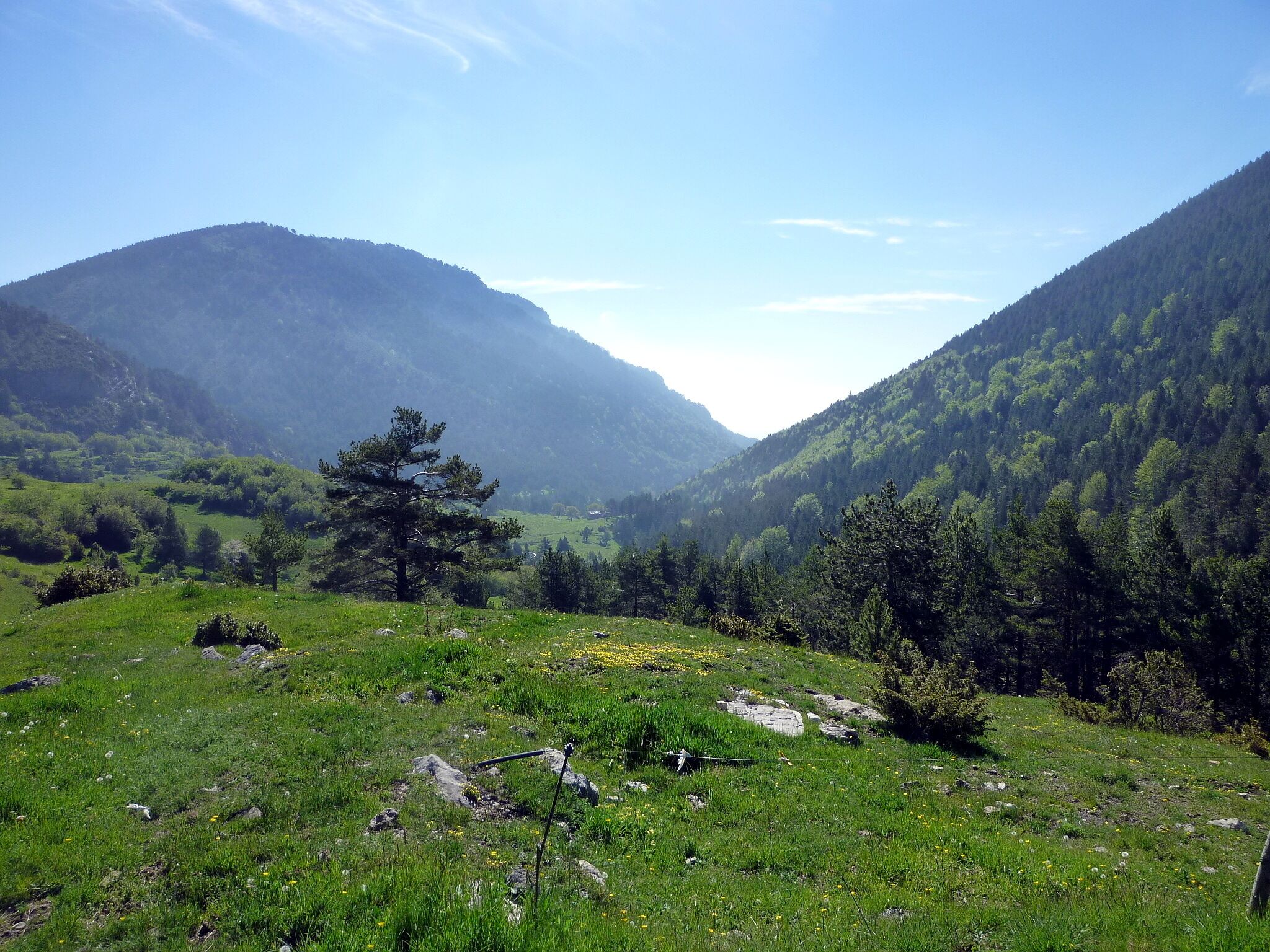 Barranc dels Graus (Fígols - Berguedà)