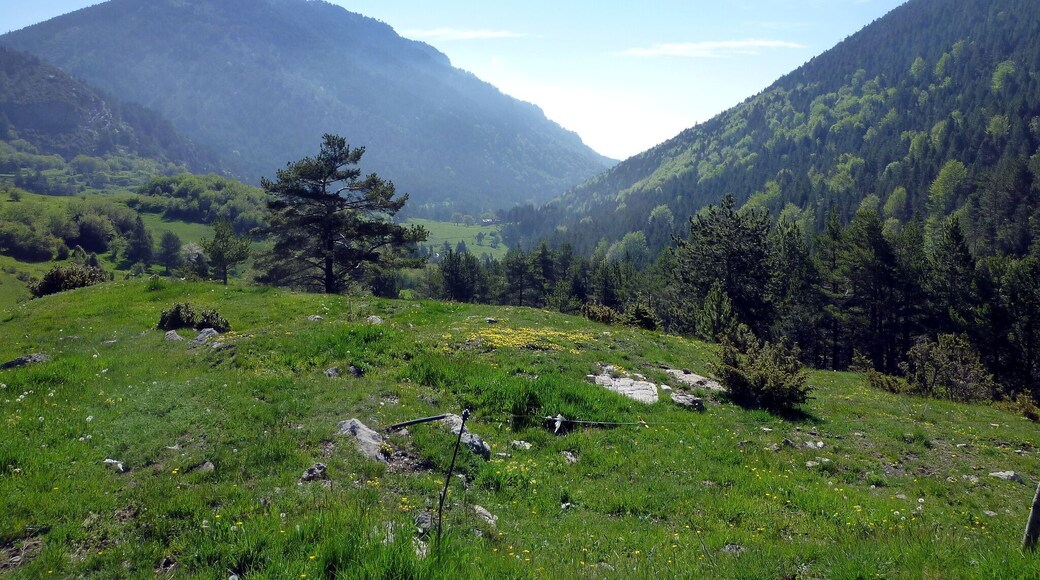 Barranc dels Graus (Fígols - Berguedà)
