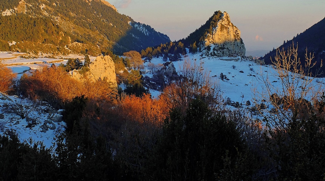 Nucli de Peguera enfarinat