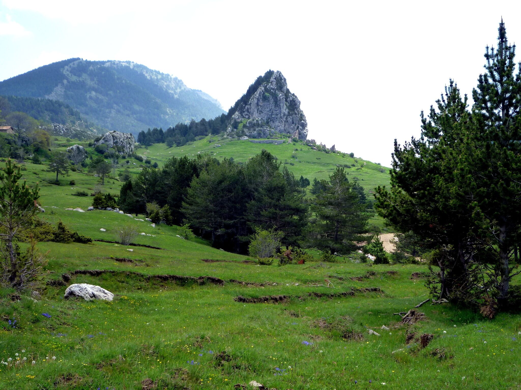 Roc de Peguera (Fígols - Berguedà)