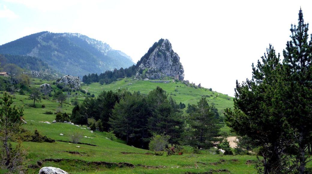 Roc de Peguera (Fígols - Berguedà)
