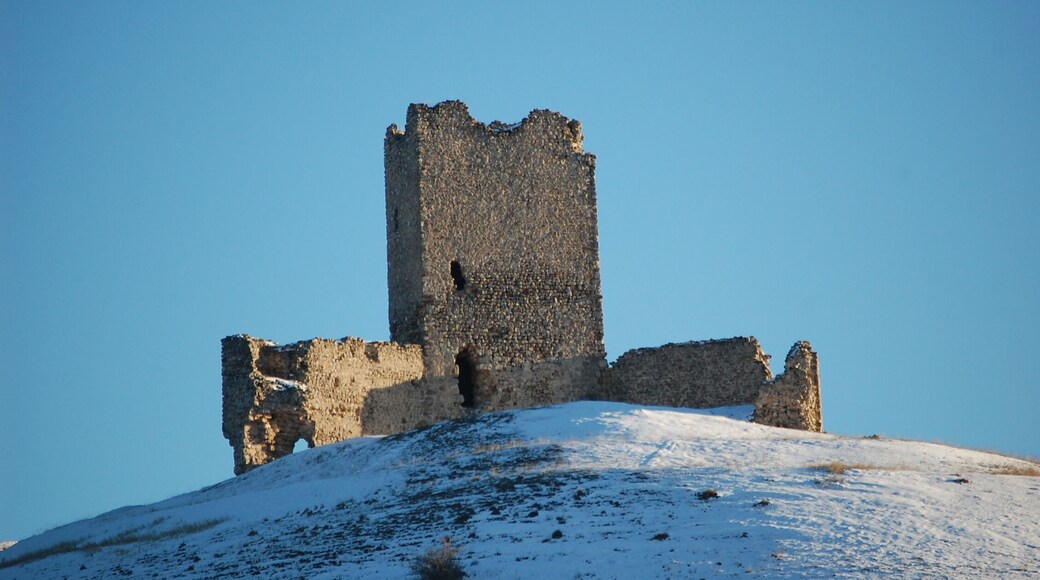Castle in La Torresaviñan, province of Guadalajara, Spain.