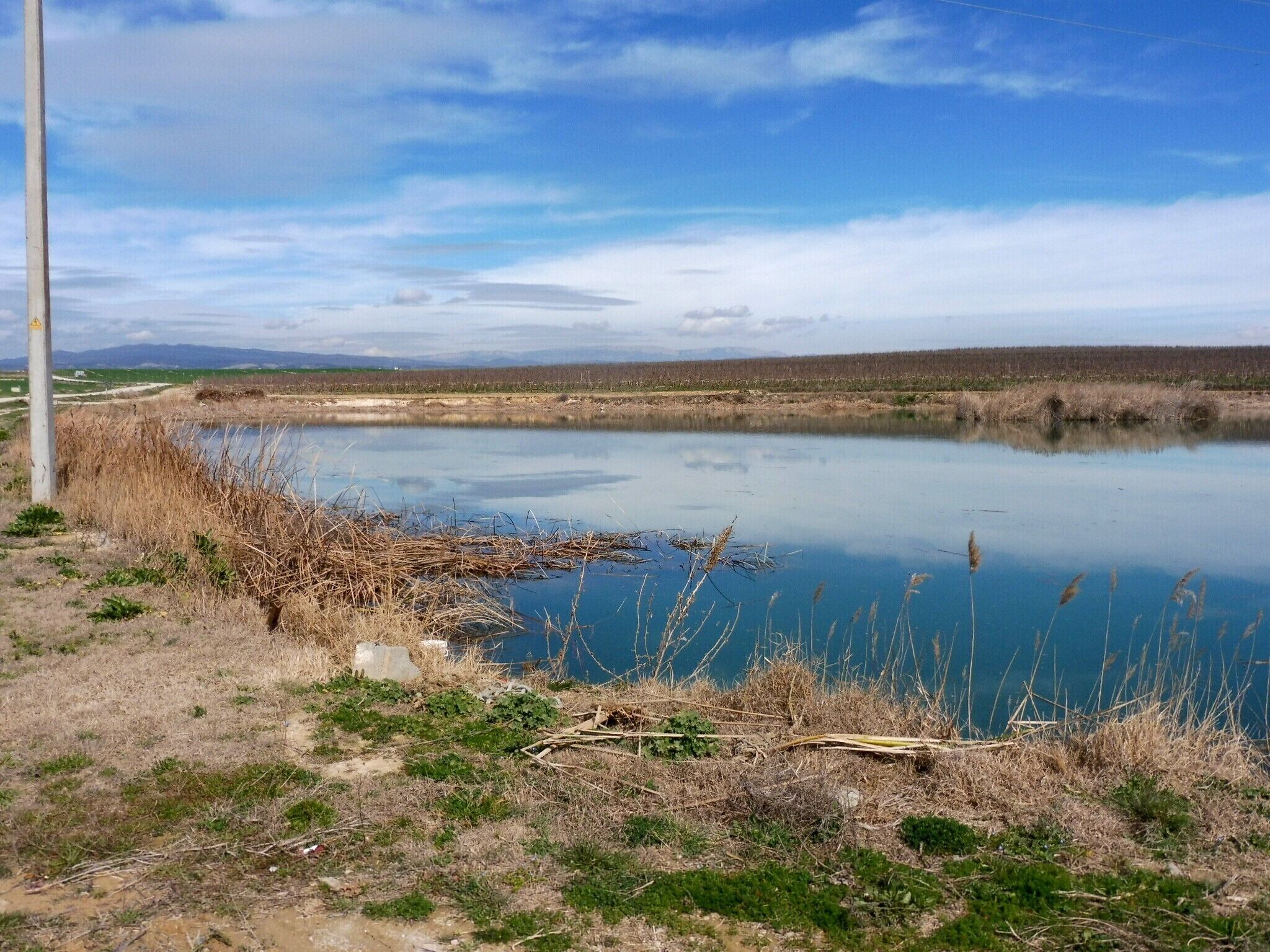 La Bassa Nova (Menàrguens)